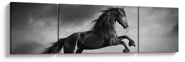 Obraz - Czarny i biały koń (170x50 cm)