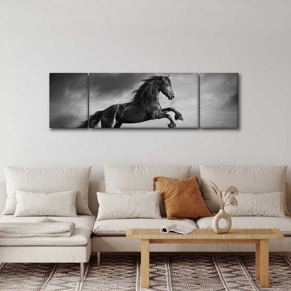 Obraz - Czarny i biały koń (170x50 cm)