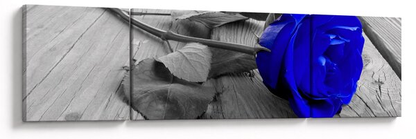 Obraz - Niebieska róża (170x50 cm)
