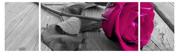 Obraz - Różowa róża (170x50 cm)