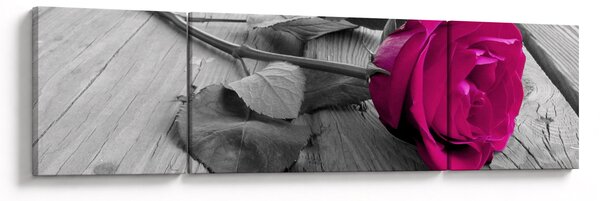 Obraz - Różowa róża (170x50 cm)