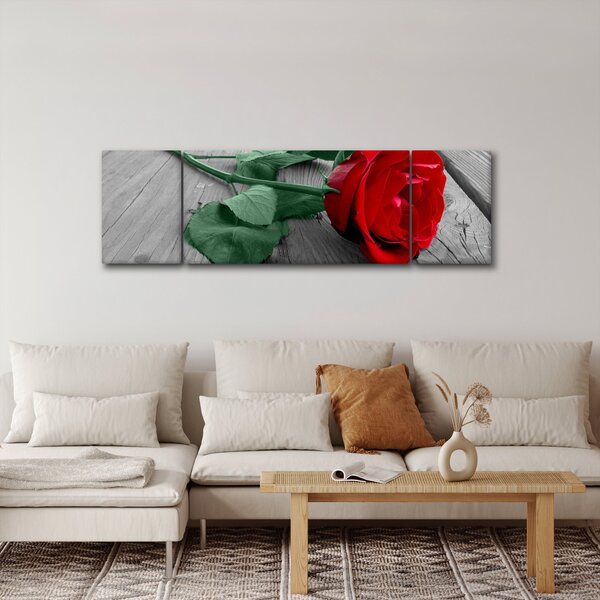 Obraz - Czerwona róża z zieloną łodygą (170x50 cm)