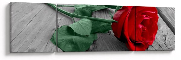 Obraz - Czerwona róża z zieloną łodygą (170x50 cm)