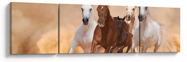 Obraz - Stado koni (170x50 cm)