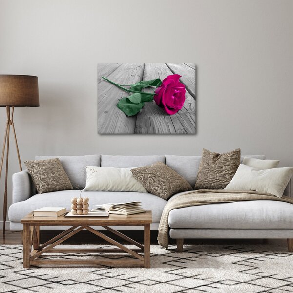 Obraz - Różowa róża z zieloną łodygą (70x50 cm)