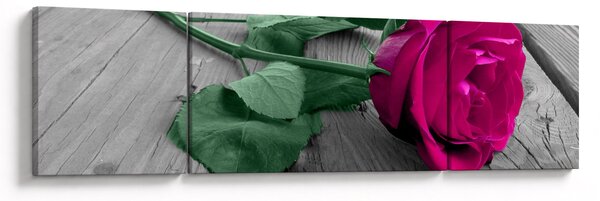 Obraz - Różowa róża z zieloną łodygą (170x50 cm)