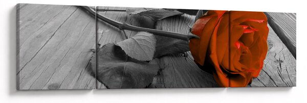 Obraz - Pomarańczowa róża (170x50 cm)