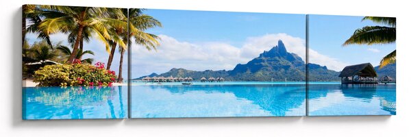 Obraz - Palmy i plaże (170x50 cm)