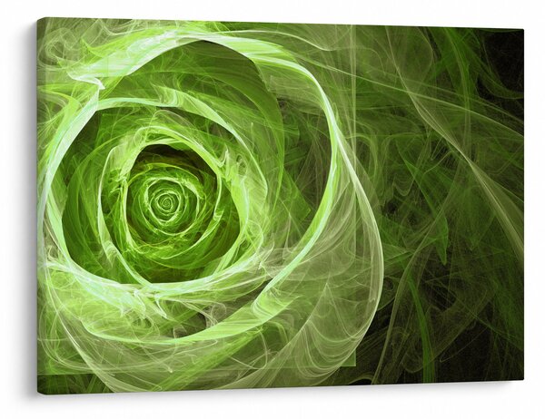 Obraz - Abstrakcyjny zielony róż (70x50 cm)