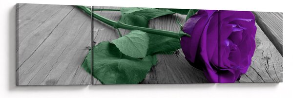 Obraz - Fioletowa róża z zieloną łodygą (170x50 cm)