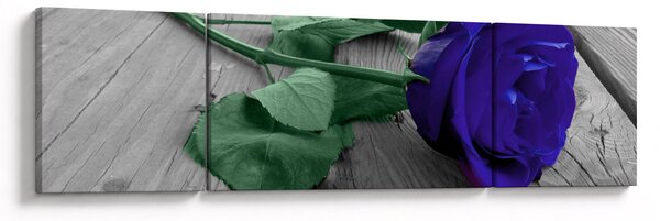 Obraz - Niebieska róża z zieloną łodygą (170x50 cm)