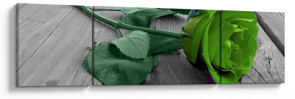 Obraz - Zielona róża (170x50 cm)