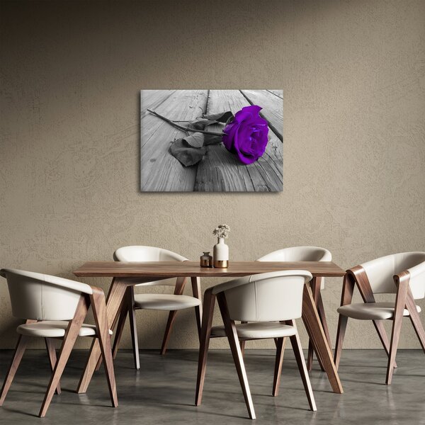 Obraz - Fioletowa róża z zieloną łodygą (70x50 cm)