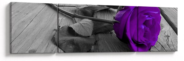 Obraz - Fioletowa róża z zieloną łodygą (170x50 cm)