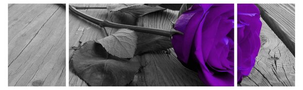 Obraz - Fioletowa róża z zieloną łodygą (170x50 cm)