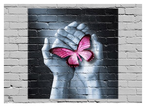 Obraz na szkle - Różowy motyl w ścianie (70x50 cm)