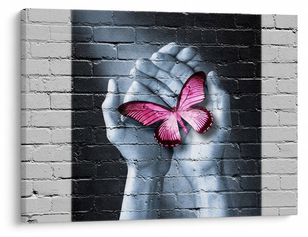 Obraz - Różowy motyl w ścianie (70x50 cm)