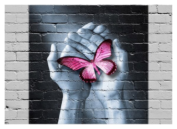 Obraz - Różowy motyl w ścianie (70x50 cm)