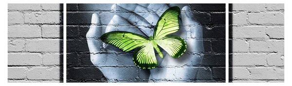 Obraz - Zielony motyl w ścianie (170x50 cm)