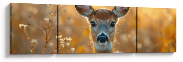 Obraz - Łania (170x50 cm)