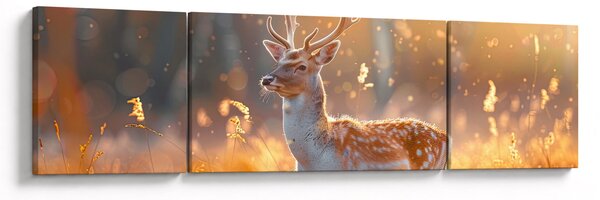 Obraz - Jeleń na polu (170x50 cm)