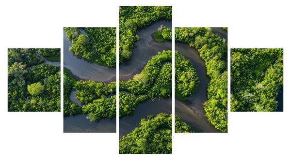 Obraz - Krajobraz leśny z rzeką (125x70 cm)
