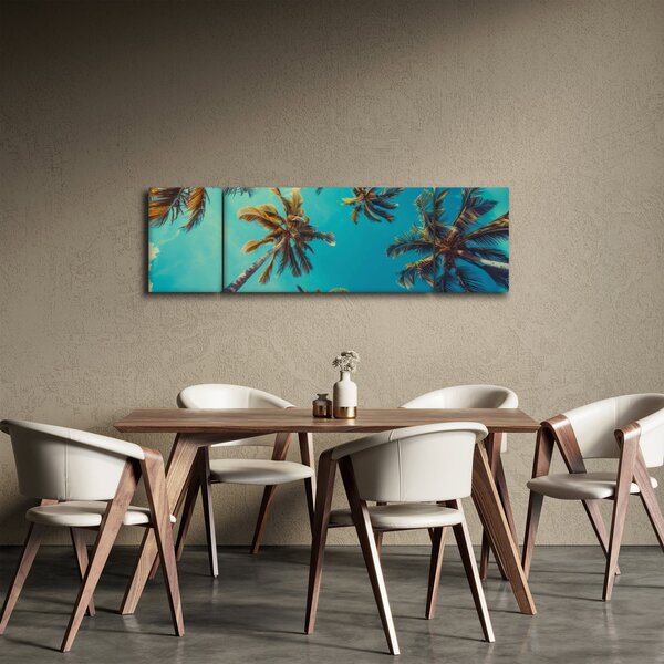 Obraz - Wysokie palmy (170x50 cm)