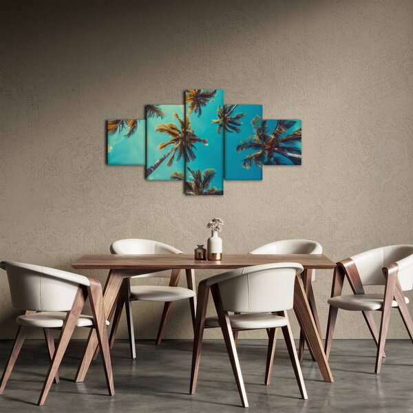 Obraz - Wysokie palmy (125x70 cm)