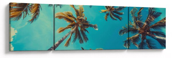 Obraz - Wysokie palmy (170x50 cm)