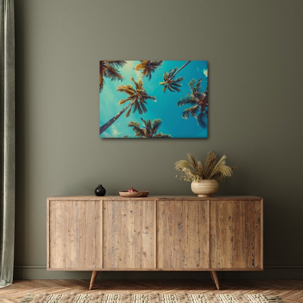 Obraz - Wysokie palmy (70x50 cm)