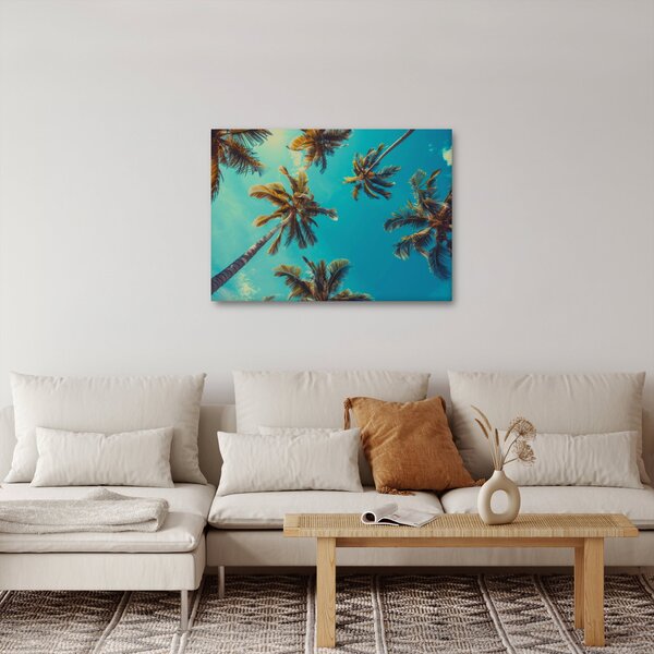 Obraz - Wysokie palmy (70x50 cm)