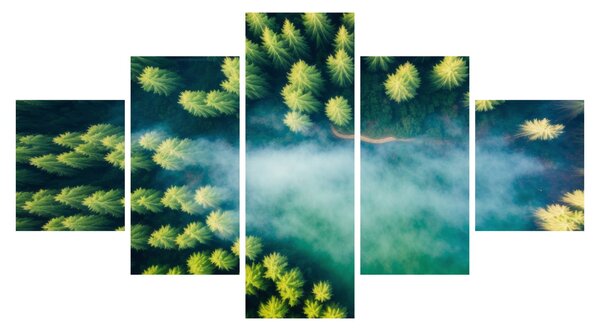 Obraz - Las spowity mgłą (125x70 cm)