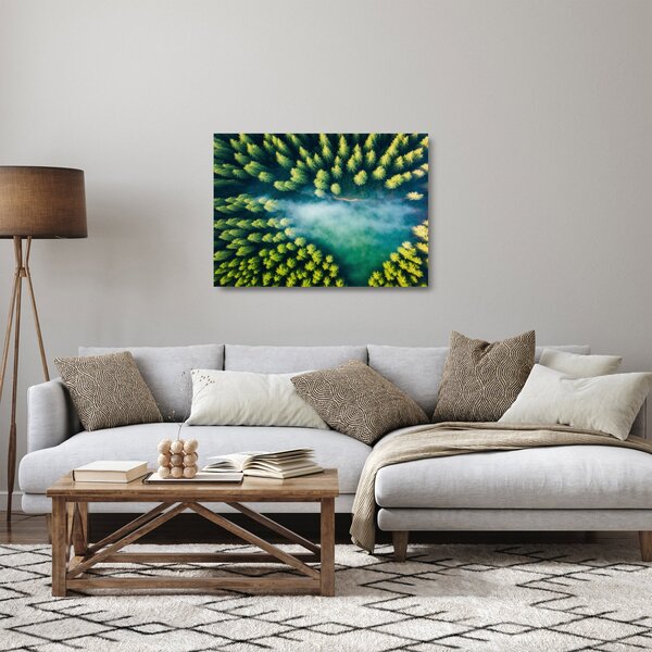 Obraz na szkle - Las spowity mgłą (70x50 cm)