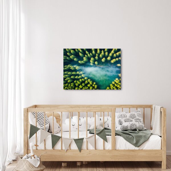 Obraz - Las spowity mgłą (70x50 cm)