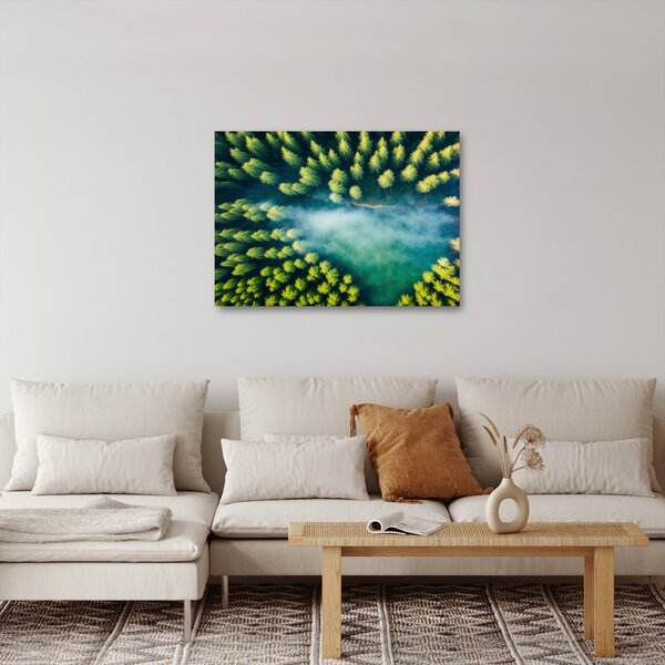 Obraz - Las spowity mgłą (70x50 cm)