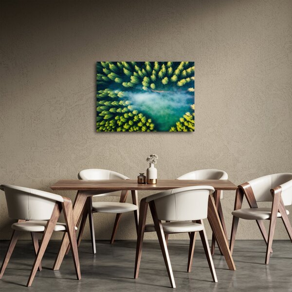 Obraz - Las spowity mgłą (70x50 cm)