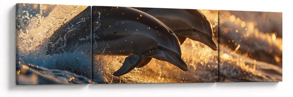 Obraz - Delfiny (170x50 cm)
