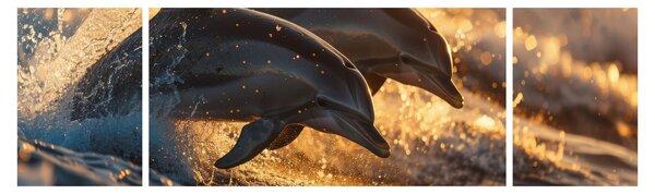 Obraz - Delfiny (170x50 cm)