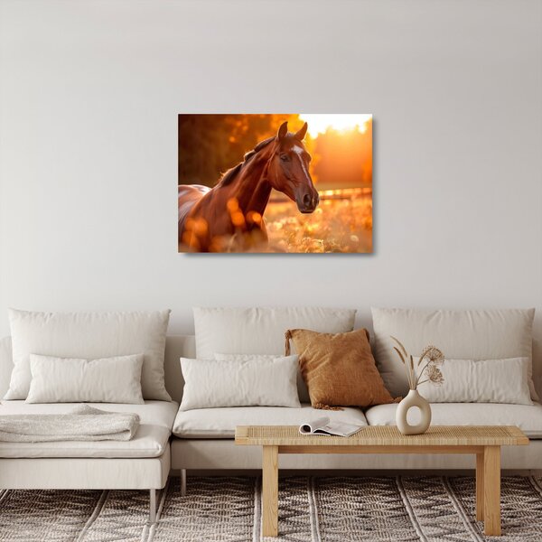 Obraz na szkle - Koń o zachodzie słońca (70x50 cm)
