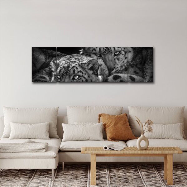 Obraz - Odpoczywające gepardy (170x50 cm)