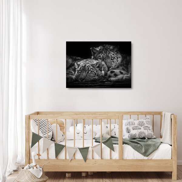 Obraz na szkle - Odpoczywające gepardy (70x50 cm)