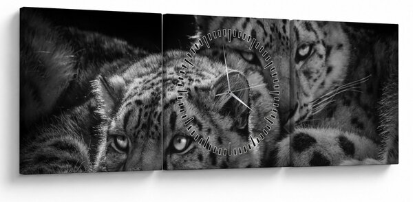 Obraz - Odpoczywające gepardy (z zegarem) (90x30 cm)