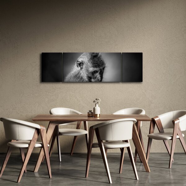 Obraz - Małpa (170x50 cm)