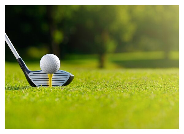 Obraz - Golf (70x50 cm)