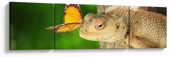 Obraz - Jaszczurka (170x50 cm)