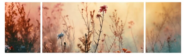 Obraz - Dzikie kwiaty (170x50 cm)