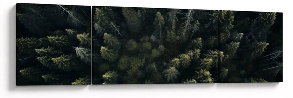 Obraz - Las (170x50 cm)