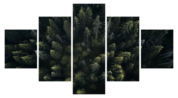 Obraz - Las (125x70 cm)