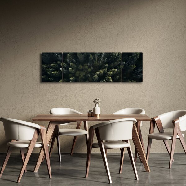 Obraz - Las (170x50 cm)