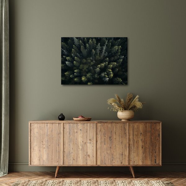 Obraz - Las (70x50 cm)